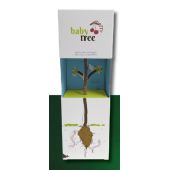 Babytree Babytree